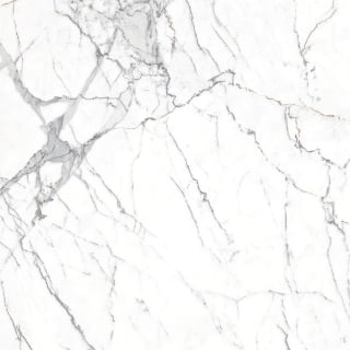 Calcutta Marble